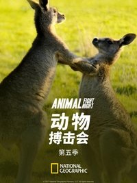 Season 5 Poster