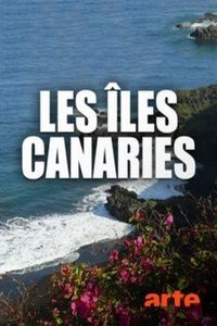 Miniseries Poster