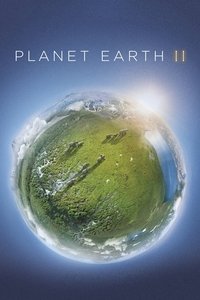 Miniseries Poster
