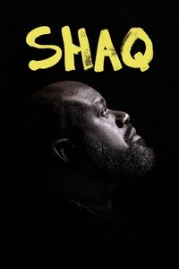 Miniseries Poster