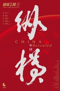 CHINA Revealed Poster