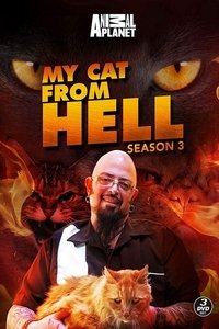 Season 3 Poster