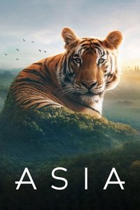 Miniseries Poster