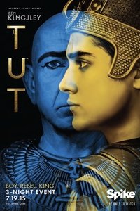 Mini-series Poster