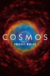 Possible Worlds Poster