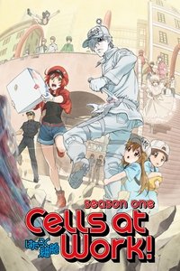 Cells at Work! Poster