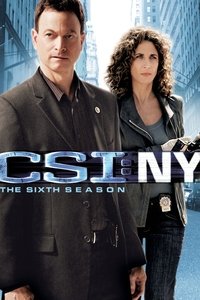 Season 6 Poster