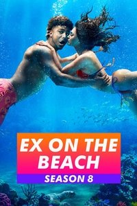 Season 8 Poster