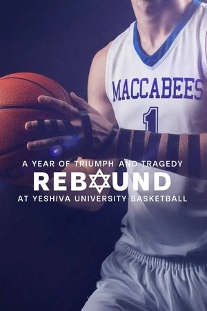 Rebound: A Year Of Triumph And Tragedy At Yeshiva University Basketball