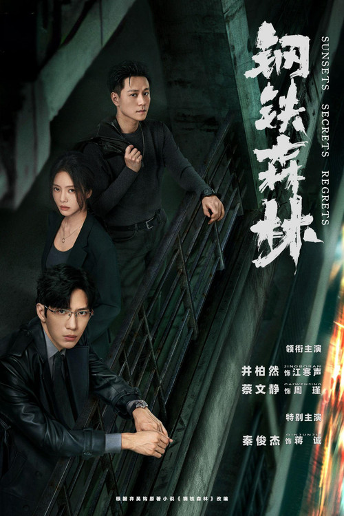 Sunsets Secrets Regrets