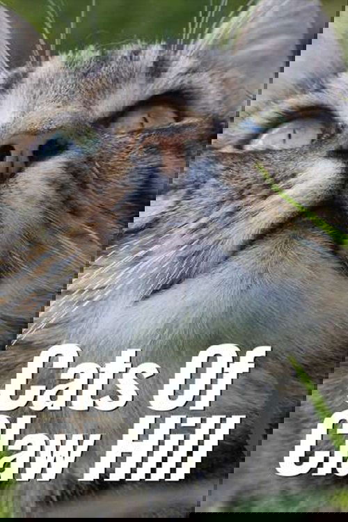Cats of Claw Hill