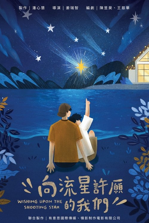 Wishing Upon the Shooting Stars