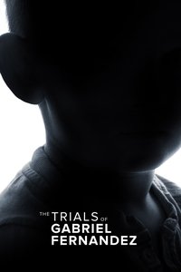 Limited Series Poster