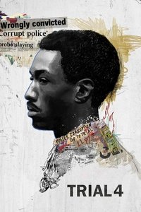 Limited Series Poster