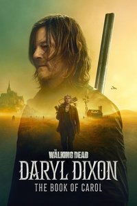 The Book of Carol Poster