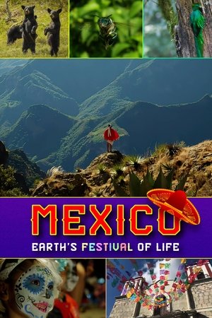 Mexico: Earth's Festival of Life