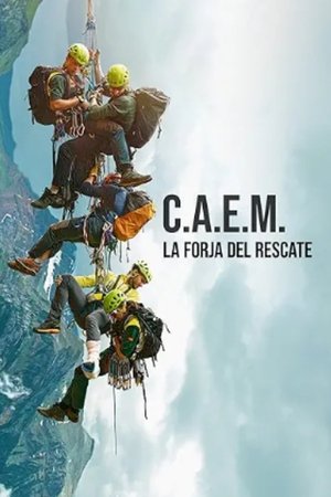 C.A.E.M.: Sobre el terreno